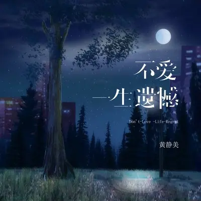 不爱一生遗憾封面