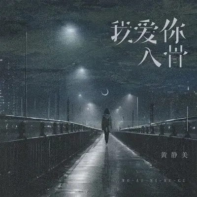 我爱你入骨 - 黄静美封面