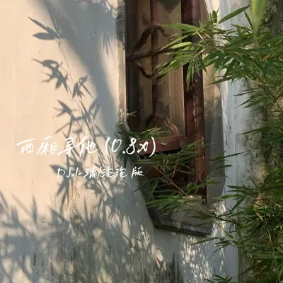 西厢寻他 (0.8x 完整版)封面
