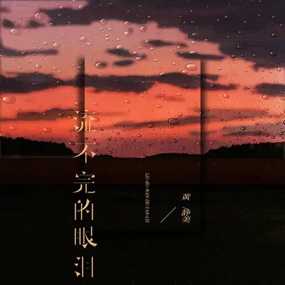 流不完的眼泪 - 黄静美封面