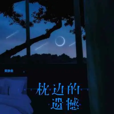 枕边的遗憾 (DJ默涵版)封面