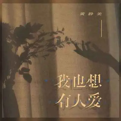 我也想有人爱（DJ默涵版）封面