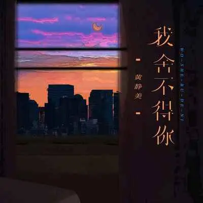 我舍不得你 (DJ默涵版) - 黄静美封面