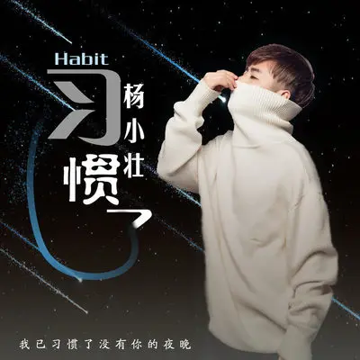 习惯了(DJ阿卓版伴奏)封面