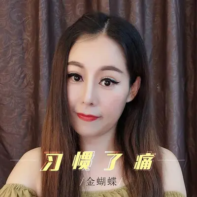 习惯了痛封面