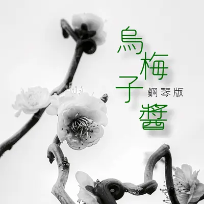 乌梅子酱（钢琴版）封面