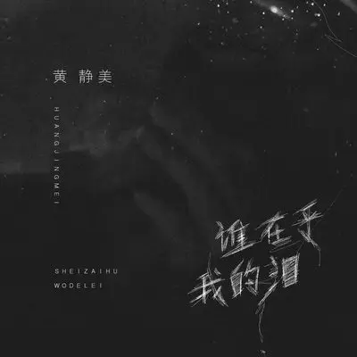 谁在乎我的泪封面