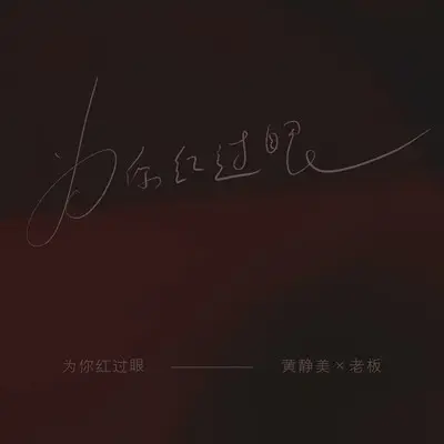 为你红过眼（加速DJ版）封面