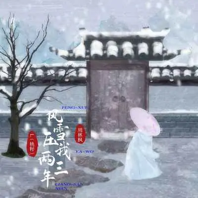 风雪压我两三年封面