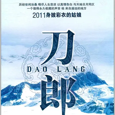 全世界飞翔的鸟 - 刀郎封面
