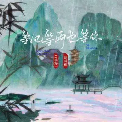 等风等雨也等你 (DJEva版)封面