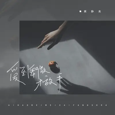 爱到卑微才放手封面
