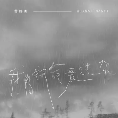 我曾拼命爱过你封面