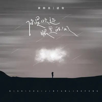 你是吹进眼里的风（DJ武圣雄版）封面