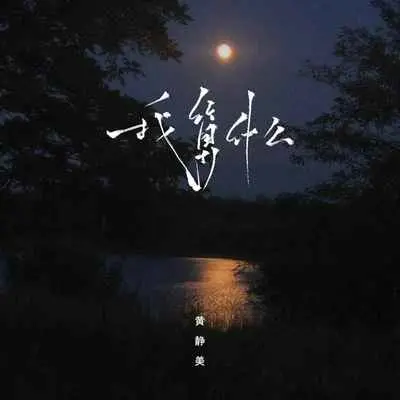 我算什么（DJ Eva版）封面