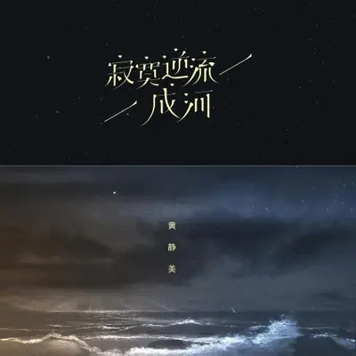 寂寞逆流成河（DJ武圣雄版）封面
