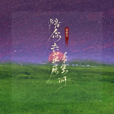 陪你去草原看星河（DJ版） - 黄静美封面