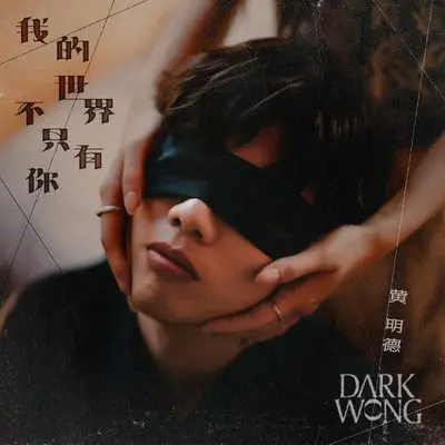 我的世界不只有你封面