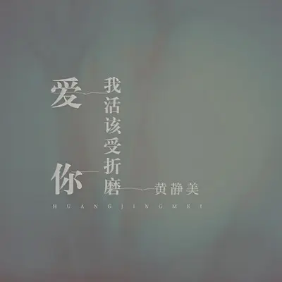 爱你我活该受折磨（DJ.House版） - 黄静美封面