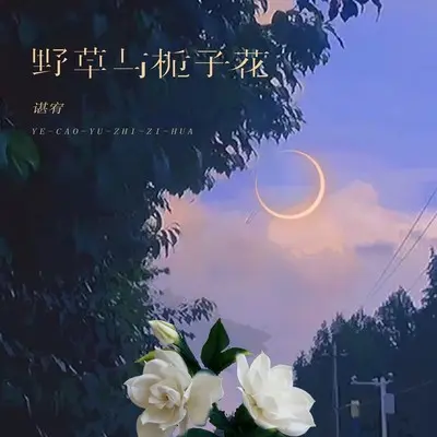 野草与栀子花封面