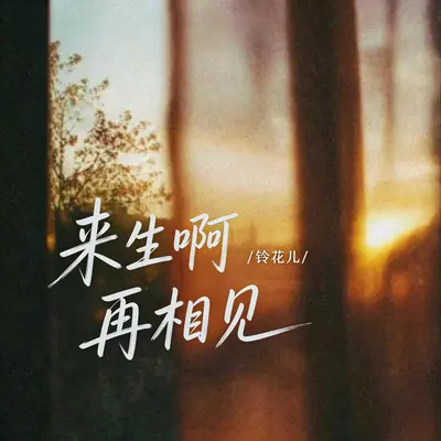 来生啊再相见封面