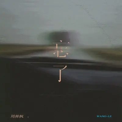 忘了 (DJEva慢摇版) - 周林枫封面