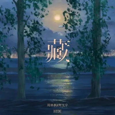 藏封面