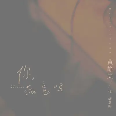 你，满意吗封面