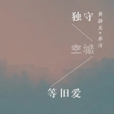 独守空城等旧爱（DJ武圣雄版）封面