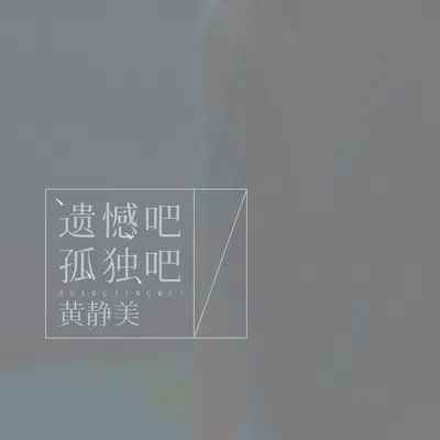 遗憾吧孤独吧（DJ武圣雄版） - 黄静美封面