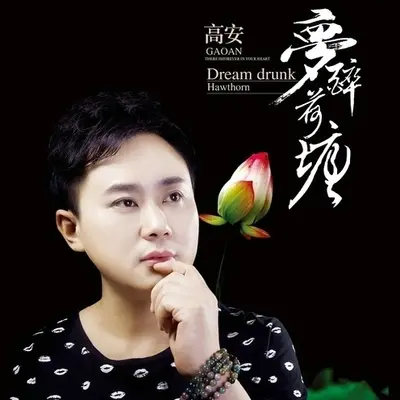 梦醉荷塘 - 云菲菲 / 高安封面