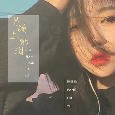 琴键上的泪(伴奏)封面