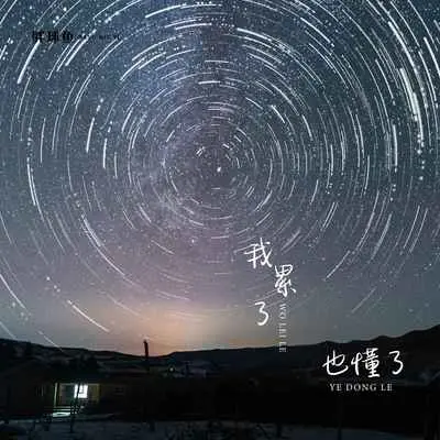我累了也懂了(伴奏)封面