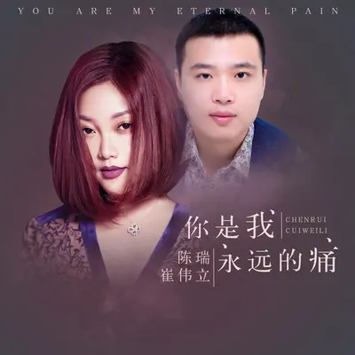 你是我永远的痛(Dj何鹏版)(伴奏)封面