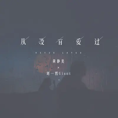 从没有爱过封面