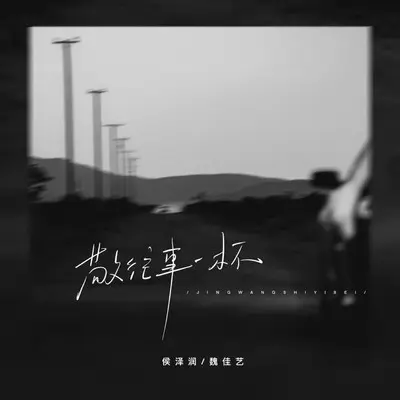 敬往事一杯 (DJ阿诺版) - 侯泽润 / 魏佳艺封面