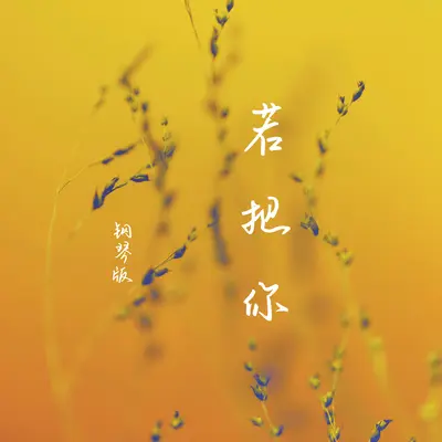 若把你（钢琴版）封面