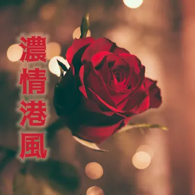 知己封面