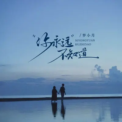 你永远不知道（男女对唱剪辑版）封面