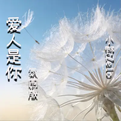 爱人是你(氛围版剪辑版）封面
