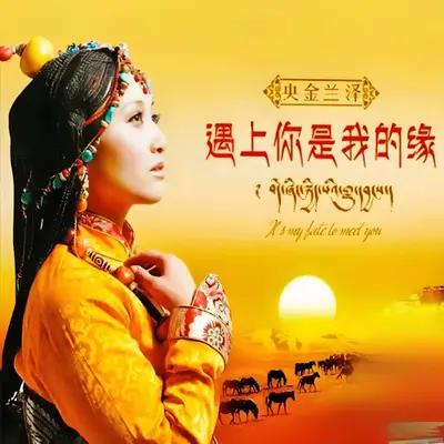 遇上你是我的缘 (剪辑版)封面