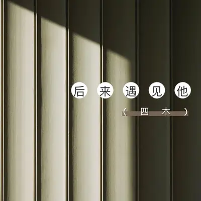 后来遇见他(钢琴版)封面