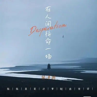 在人间拼命一场（DJ光波）封面