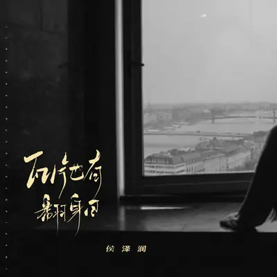 瓦片也有翻身日 (DJ阿诺版) - 侯泽润封面