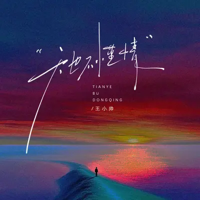 天也不懂情(伴奏)封面