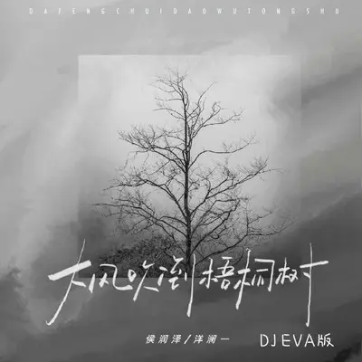 大风吹倒梧桐树 (DJ EVA版)封面