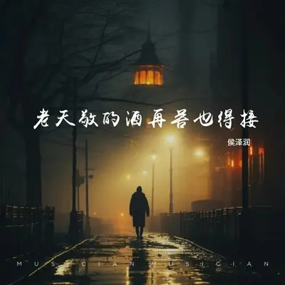 老天敬的酒再苦也得接（完整版）封面