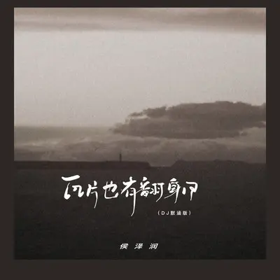 瓦片也有翻身日 (DJ何友版)封面