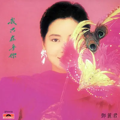 非龙非彨 - 邓丽君封面