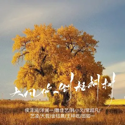 大风吹倒梧桐树 (全明星合唱版)封面